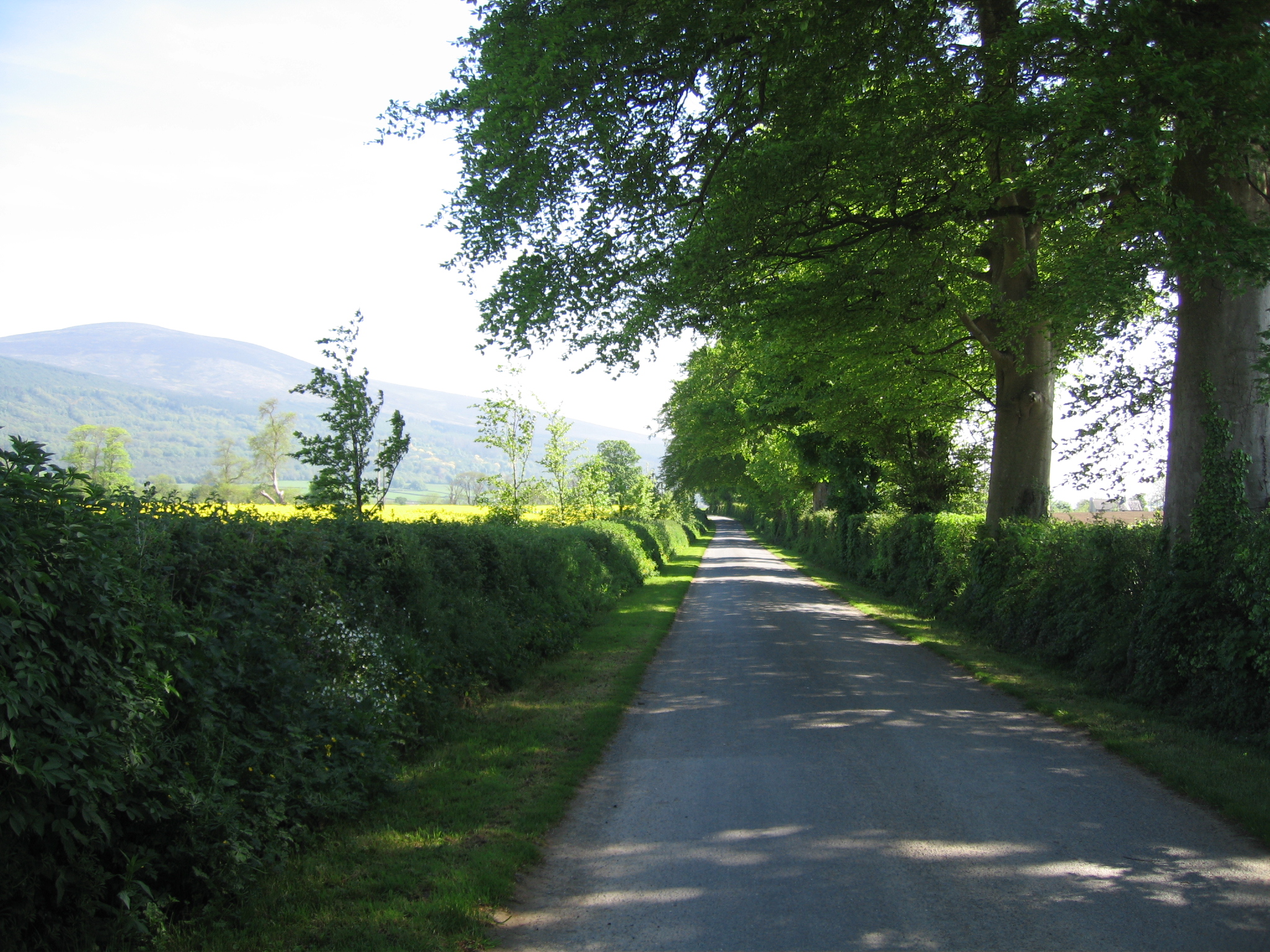 Entrance to composting facility